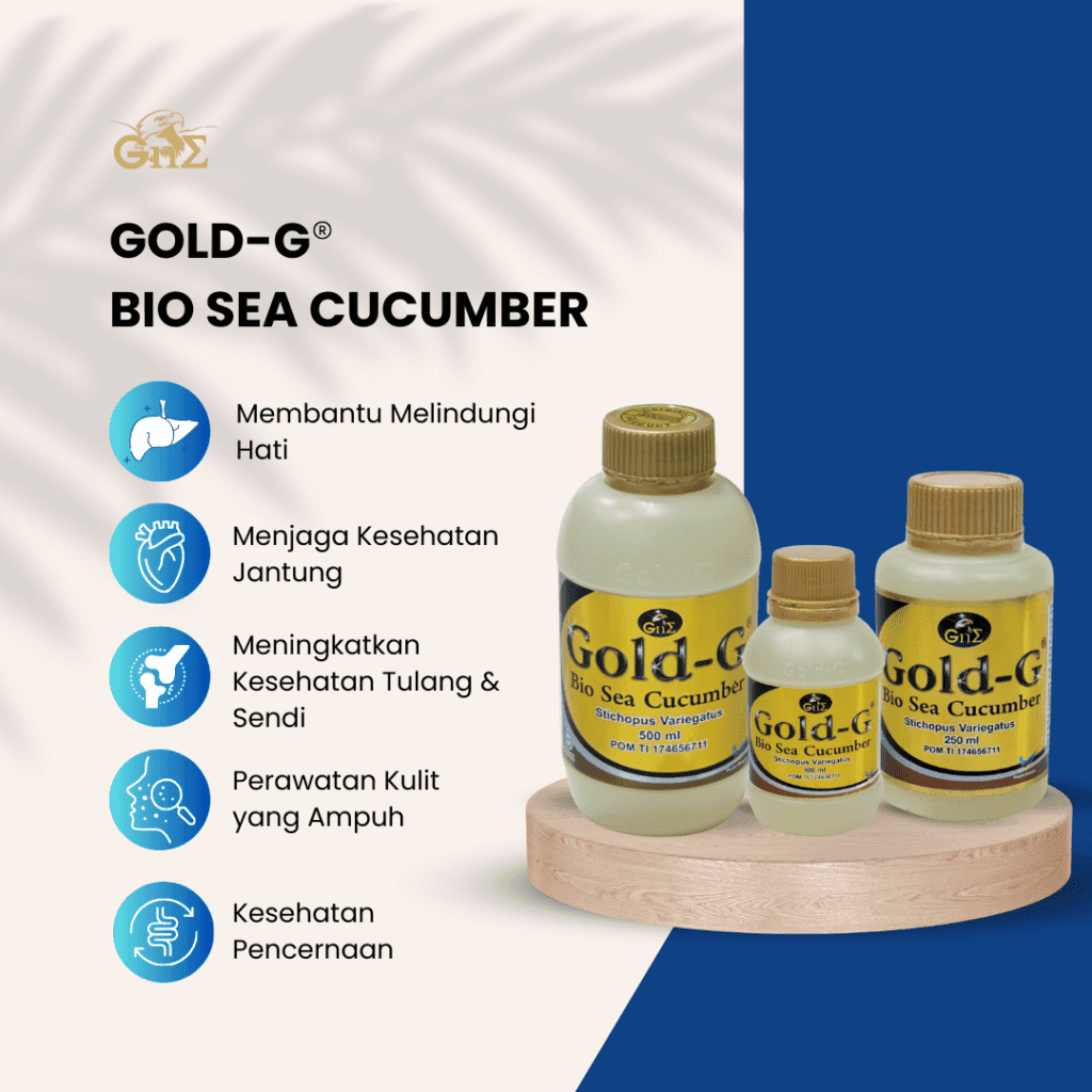 5 manfaat dari gold g bio sea cucumber