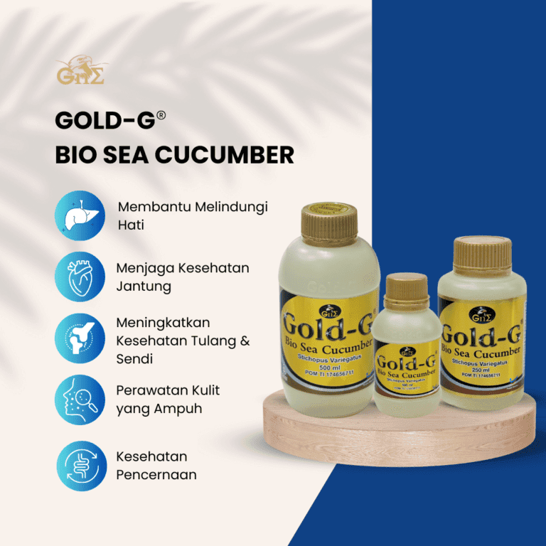 5 manfaat dari gold g bio sea cucumber