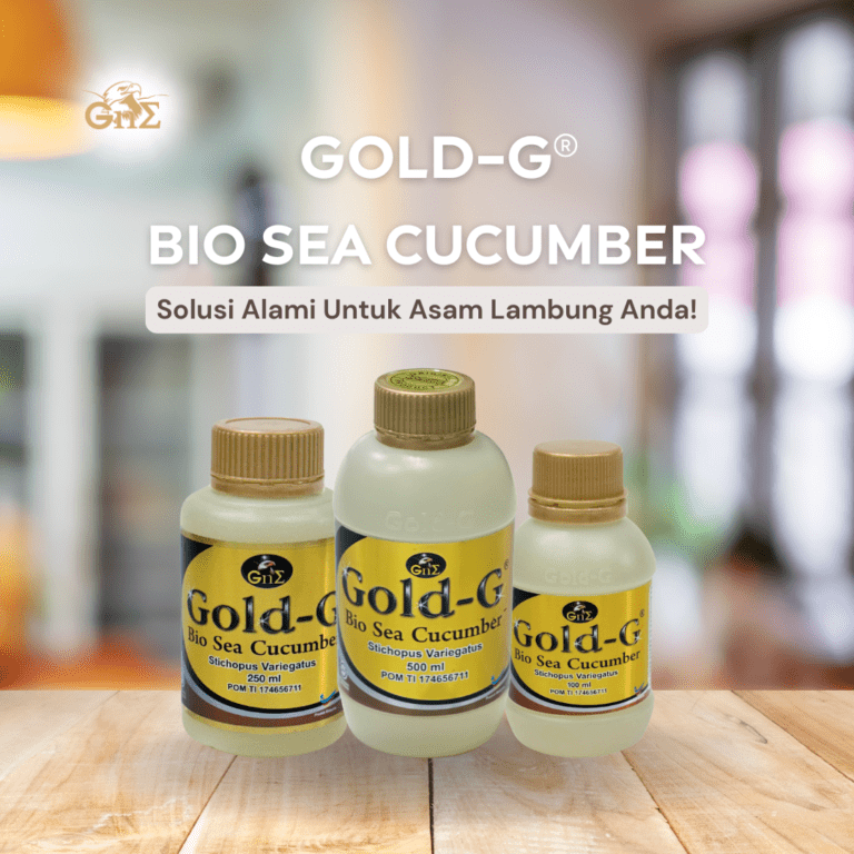 obat asam lambung alami gold g bio sea cucumber