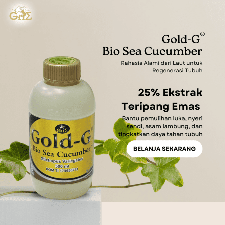 gold g bio sea cucumber 500ml