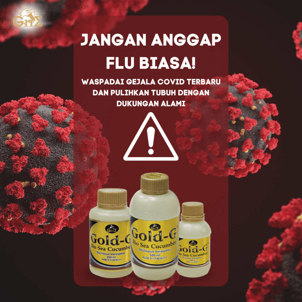 atasi gejala covid terbaru dengan gold g jelly gamat