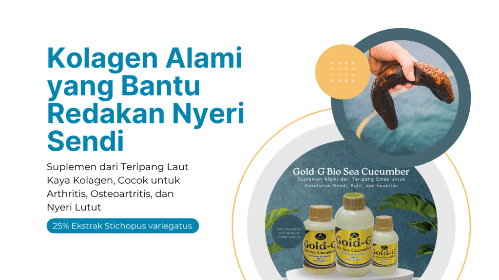 kolagen alami dapat di cari dalam kandungan gold g jelly gamat